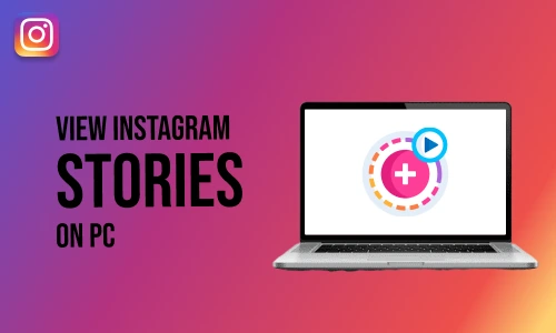 How to view Instagram stories on PC